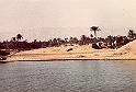 08 - Suez3_Nov81